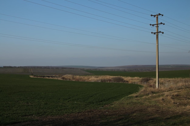 Eine Stromleitung auf einem Feld