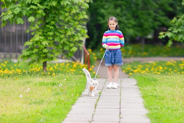 Eine süße weiße Katze geht mit einem kleinen Mädchen im Frühling spazieren, sie gehen mit Schreien einen Weg zwischen dem Gras entlang