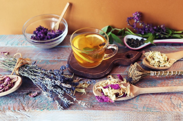 Eine Tasse grüner Tee mit nützlichen Kräuterblüten und zitronentrockenen Blütenblättern von Nutzpflanzen