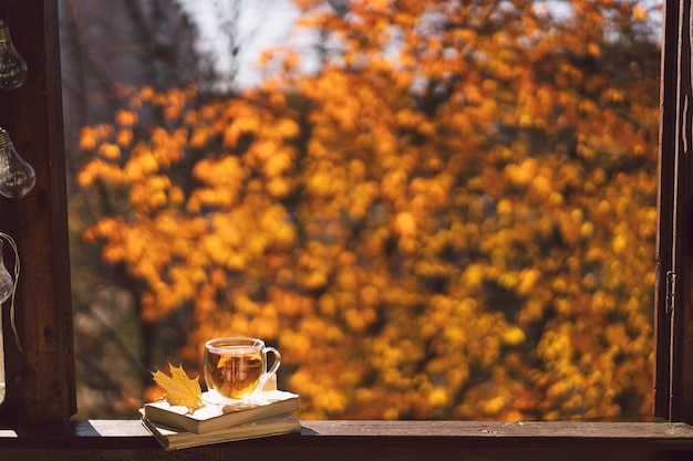 Eine Tasse heißen Tee und ein offenes Buch auf einer Vintage-Fensterbank-Stillleben-Details im Haus auf einem Fenster