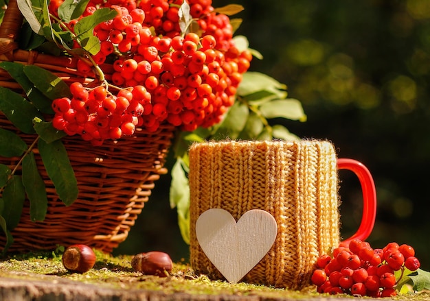 Eine Tasse in einer Strickhülle Vogelbeeren und ein leeres Holzherz für Text Mockup Herbstkomposition