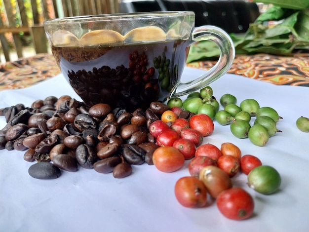 Eine Tasse schwarzen Kaffee, geröstete Kaffeebohnen und ungeschälte Kaffeebohnen auf einem Tisch vor einem weißen Brei