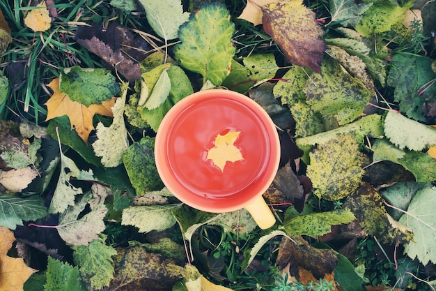 Eine Tasse schwarzer Tee auf buntem Herbstlaubhintergrund