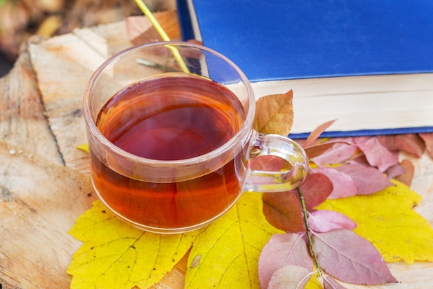 Eine Tasse Tee auf einem gelben Ahornblatt nahe einem Buch auf einem Baumstumpf im Herbstwald