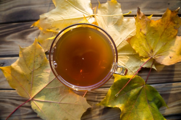 Eine Tasse Tee in der Nähe von Herbstlaub