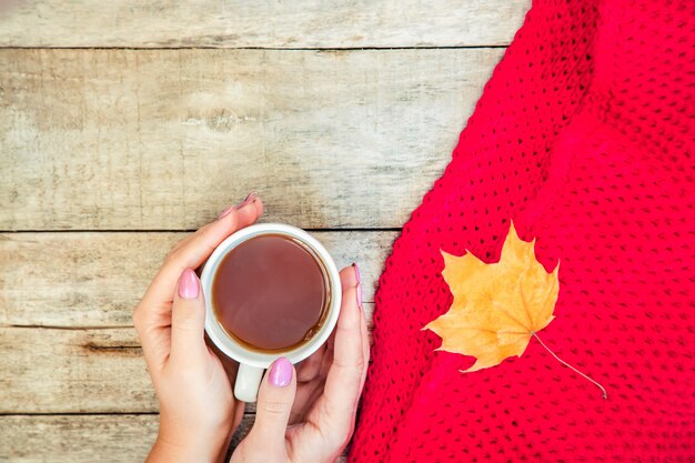 Eine Tasse Tee und ein gemütlicher Herbsthintergrund. Selektiver Fokus