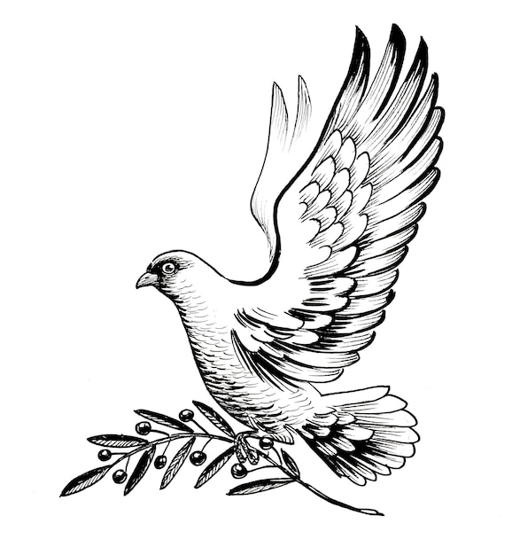 Eine Taube mit einem Olivenzweig darauf fliegt.