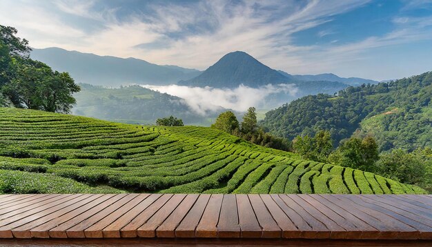 Foto eine teeplantage mit einem berg im hintergrund