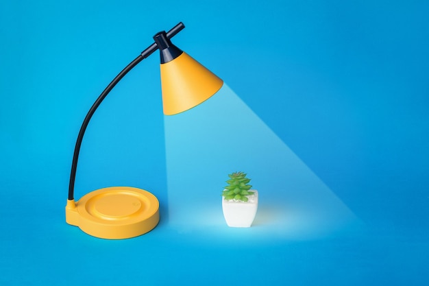 Eine Tischlampe mit einem Lichtstrahl, der auf eine kleine Pflanze gerichtet ist Plants for the desktop Ray verkörpert die Idee