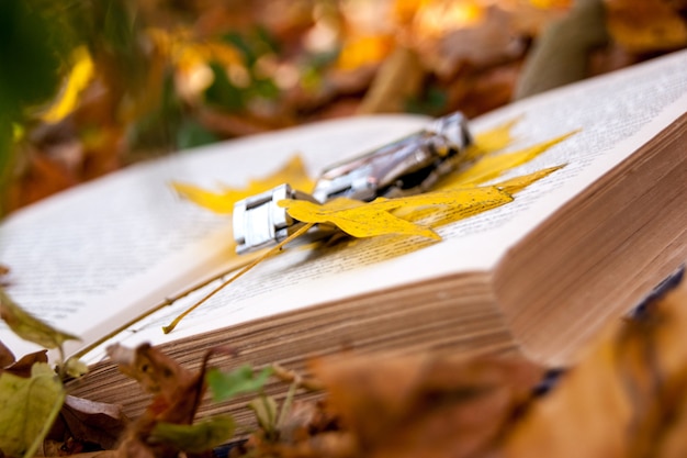 Eine Uhr und Ahornblätter auf dem Buch