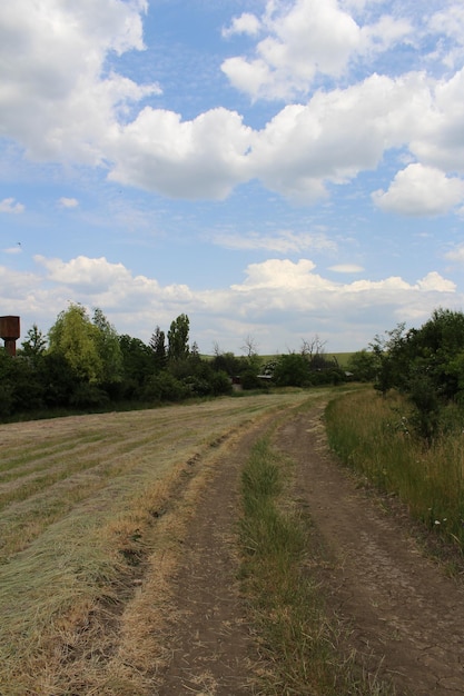 Eine unbefestigte Straße mit Gras und Bäumen im Hintergrund