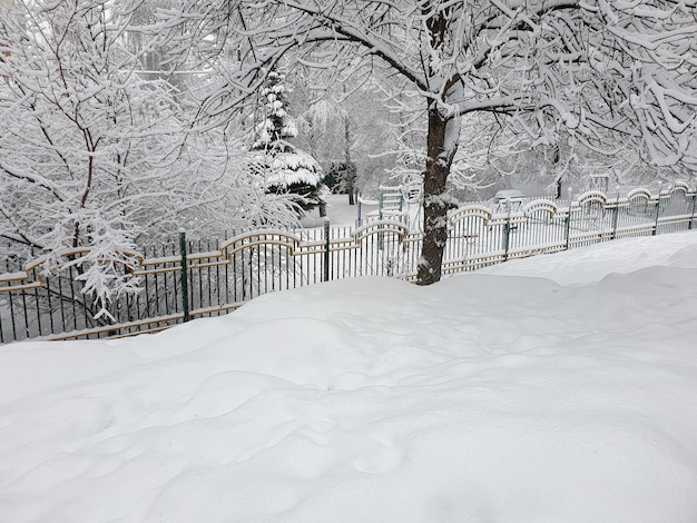 Eine urbane Winterlandschaft des Parks im Schnee