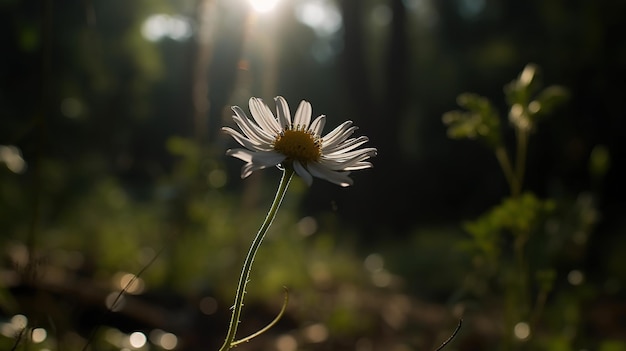 Eine verträumte Landschaft aus leuchtenden Blumen im Weichzeichner