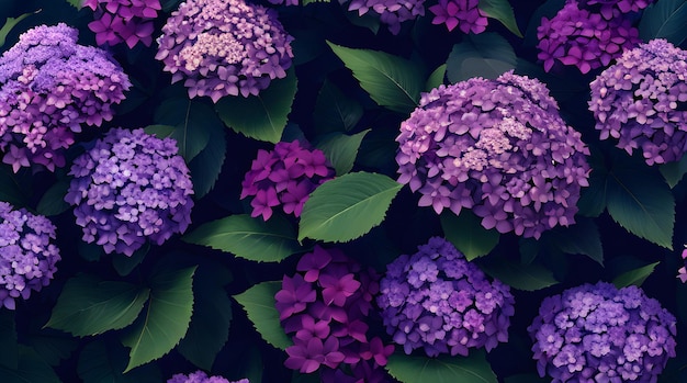 Eine violette und grüne Blume mit einem grünen Blatt, auf dem "Hortensie" steht