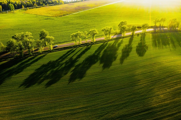 Eine Vogelperspektive eines grünen Feldes und einer Straße in Europa. Natur von Weißrussland. Eigenes grünes Feld bei Sonnenuntergang und Straße.