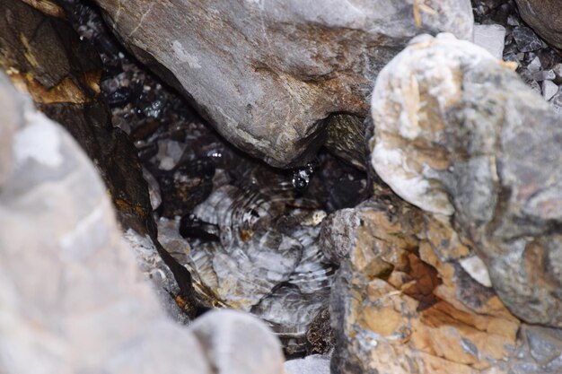 Foto eine vollständige aufnahme von felsen