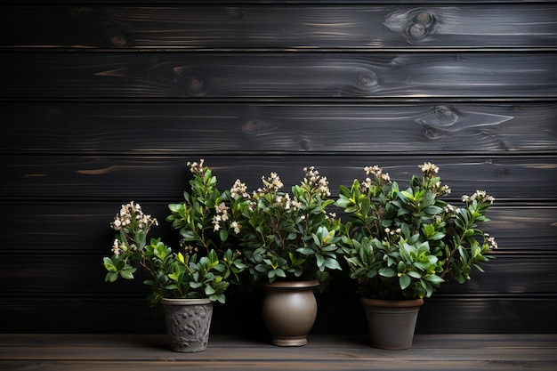 Eine Wand mit Topfpflanzen und Blumen darauf