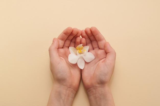 Eine weiße Orchideenblüte in Kinderhänden auf beigem Hintergrund