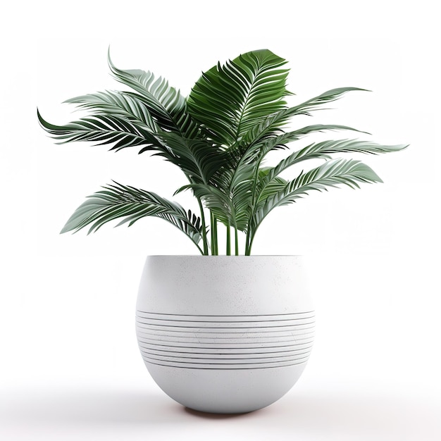 Eine weiße Vase mit einer Pflanze darin, auf der „Palme“ steht.