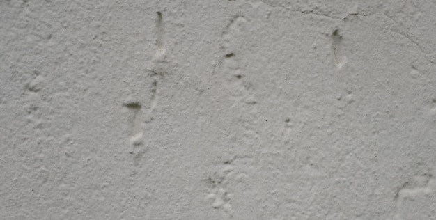 Eine weiße Wand mit einer rauen strukturierten Oberfläche und einem kleinen Riss in der Mitte.