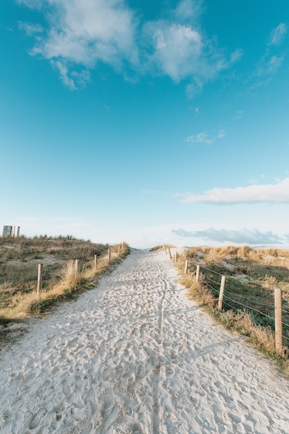 Eine Weitwinkelaufnahme des Sandweges zum Strand, umgeben von Pflanzen an einem klaren Frühlingstag