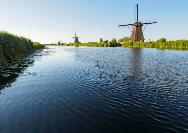 Eine Windmühle am Ufer eines Kanals mit Schilf in Kinderdijk Holland Niederlande