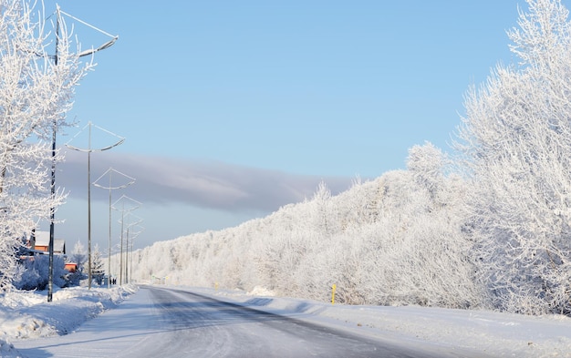 Eine Winterstraße, die an einem klaren, sonnigen, frostigen Tag durch einen dichten Wald mit frostbedeckten Bäumen führt