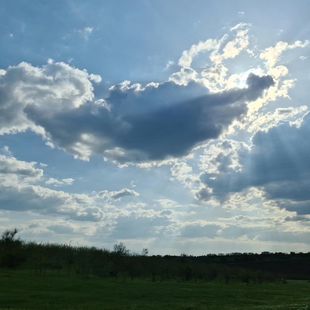 Eine Wolke, auf der das Wort „auf“ steht