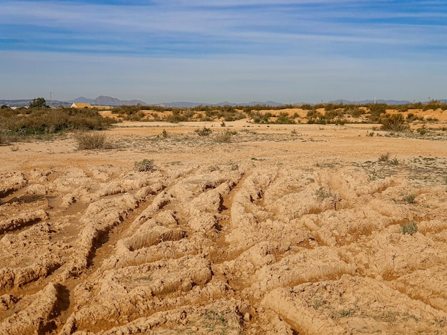 Eine Wüstenlandschaft mit Spuren im Sand und einem blauen Himmel im Hintergrund