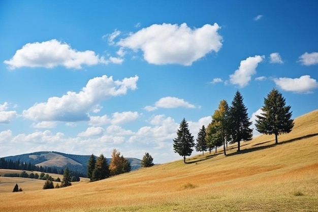 eine wunderschöne Landschaft mit Bäumen und einem blauen Himmel mit Wolken.