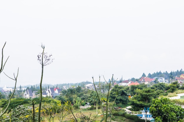 Eine wunderschöne Landschaft mit Stadt und Bäumen