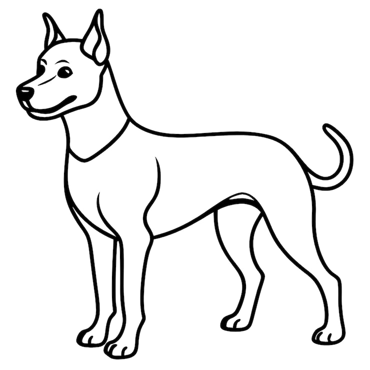 Foto eine zeichnung eines hundes, auf der das wort hund steht