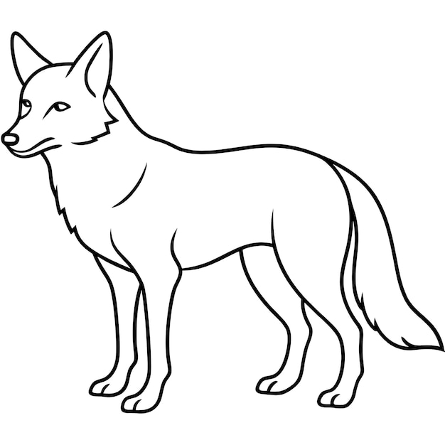 eine Zeichnung eines Wolfes, auf der eine Zeichnungen eines Wolfes sind
