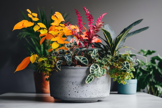 Eine Zimmerpflanze, umgeben von bunten Blüten, in einem Blumentopf aus Beton