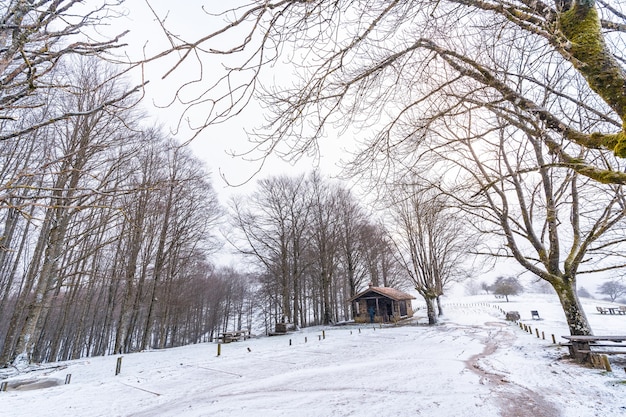 Eine Zuflucht zwischen Bäumen beim Aufstieg zum Berg Aizkorri in Gipuzkoa. Schneelandschaft im Winter schneit