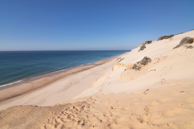 Einer der schönsten Strände Spaniens, genannt (El Asperillo, Doñana, Huelva) in Spanien.