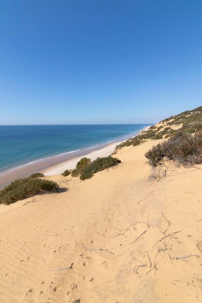 Einer der schönsten Strände Spaniens, genannt (El Asperillo, Doñana, Huelva) in Spanien.