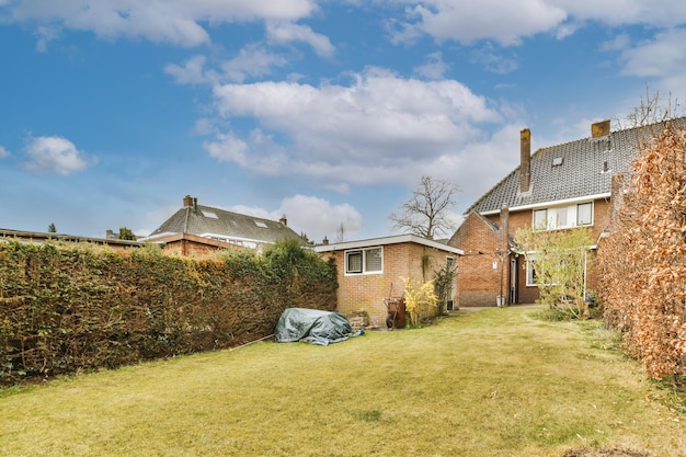 Einfache Terrasse mit Vegetation im Inneren