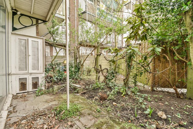 Einfache Terrasse mit Vegetation im Inneren