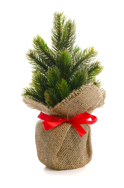 Einfache Weihnachts- oder Neujahrsdekoration kleine Fichte mit rotem Band in einem Jutesack isoliert auf weißem Hintergrund hohe Details