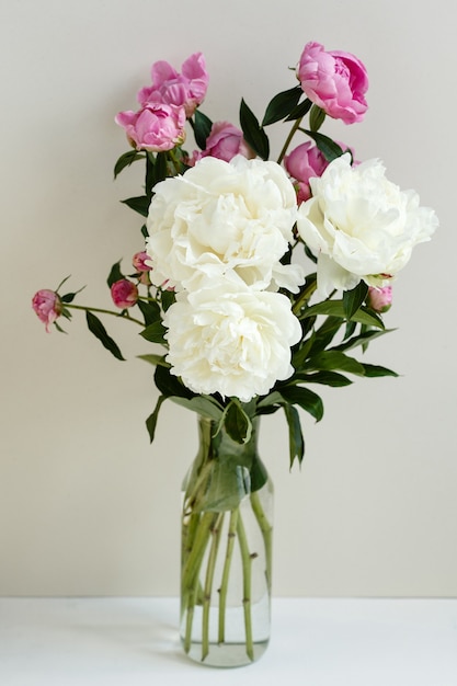 Einfacher sloopy Blumenstrauß von rosa und weißen Pfingstrosenblumen in einer transparenten Vase über Pastellhintergrund, Frühlings- und Sommersaisonblumen, Valentinstag