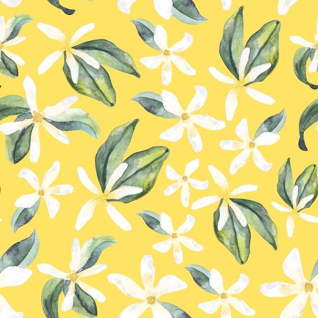 Einfaches Aquarell nahtlose Muster weiße Jasmingrünblätter botanische Malerei Blumenmalerei