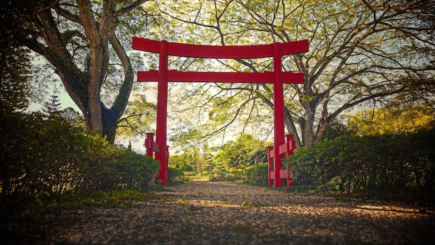 Foto eingang des japanischen gartens