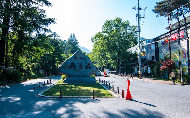 Foto eingangstor des berges mudeungsan während der frühlingszeit in gwangju