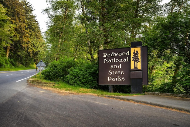 Eingangszeichen der Redwood National- und State Parks in Kalifornien, USA