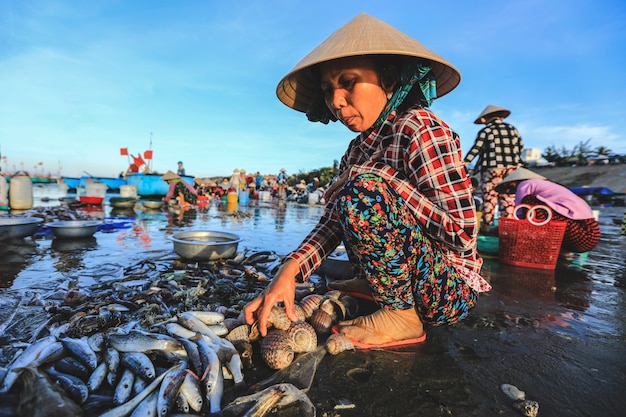 Einheimischer Verkäufer sammelt Fische und Muscheln in einem berühmten Fischerdorf in Mui Ne, Vietnam