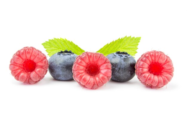 Einige frische Blaubeeren und Himbeeren in Reihe isoliert.