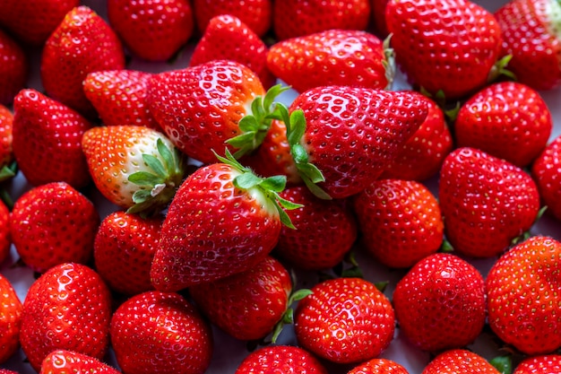 Einige frische Erdbeeren in einer Schachtel.