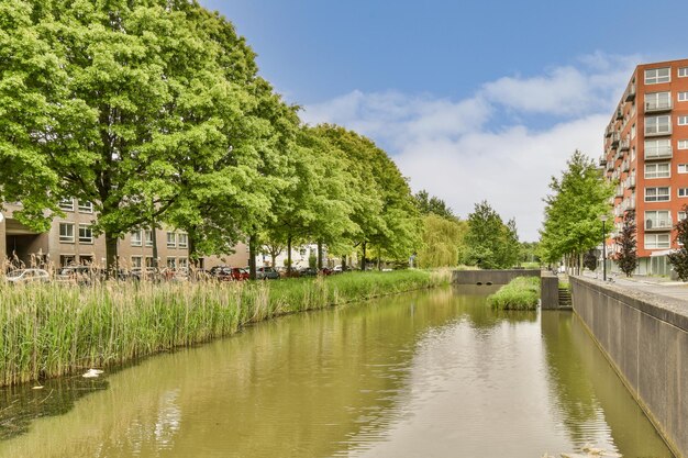 einige Gebäude und Bäume entlang des Wasserrandes in einem städtischen Gebiet mit grünem Laub auf beiden Seiten des Flusses