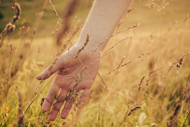 Foto eins mit der natur